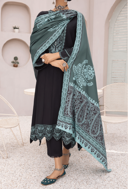 3-Piece Embroidered Dhanak Dress with Pashmina Silk Shawl