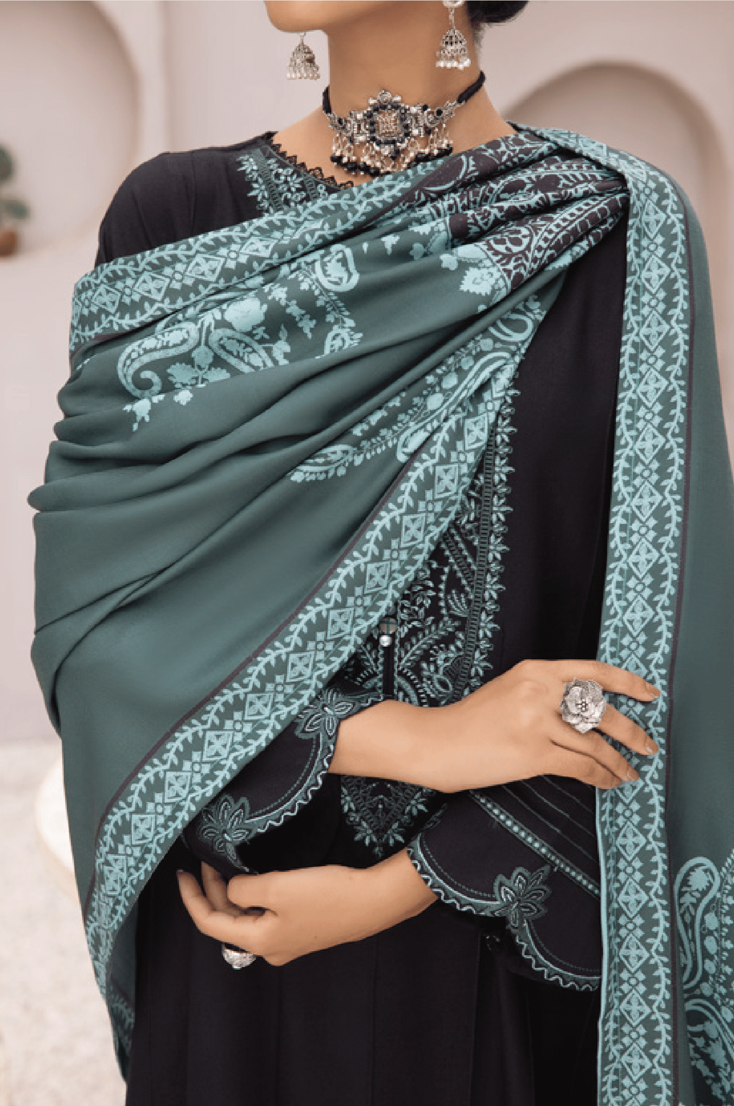 3-Piece Embroidered Dhanak Dress with Pashmina Silk Shawl