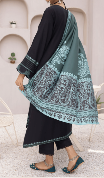 3-Piece Embroidered Dhanak Dress with Pashmina Silk Shawl