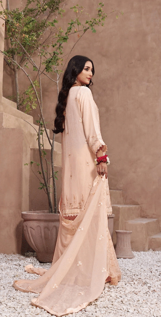 3 PIECE EMBROIDERED CHIFFON COLLECTION - (SECRET TALK)