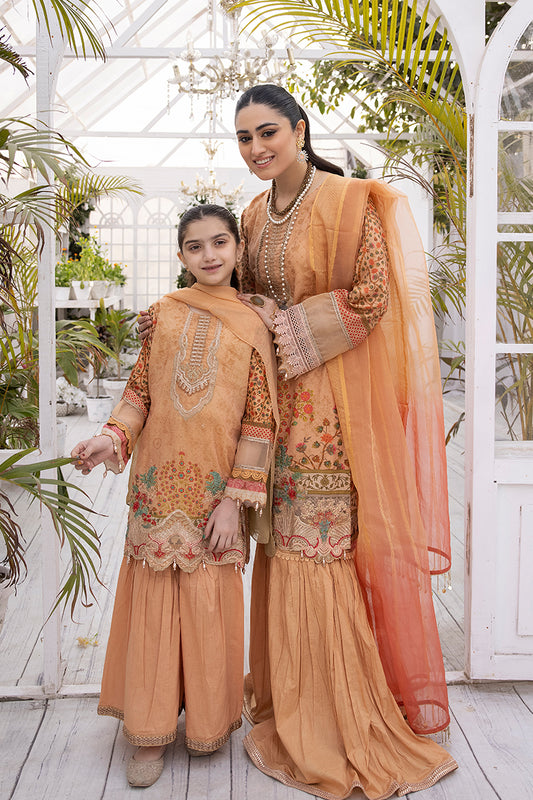 Peach Shamray Luxury embroidered Lawn-Mona Ally's